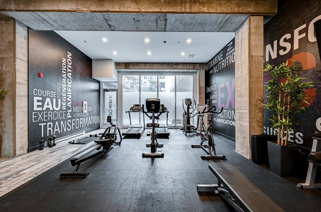 3 Bedroom Unit 320 - 1255 Rue Saint-Dominique, Ville-Marie