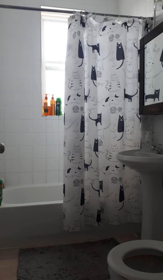 Chambre De Collocation à Louer