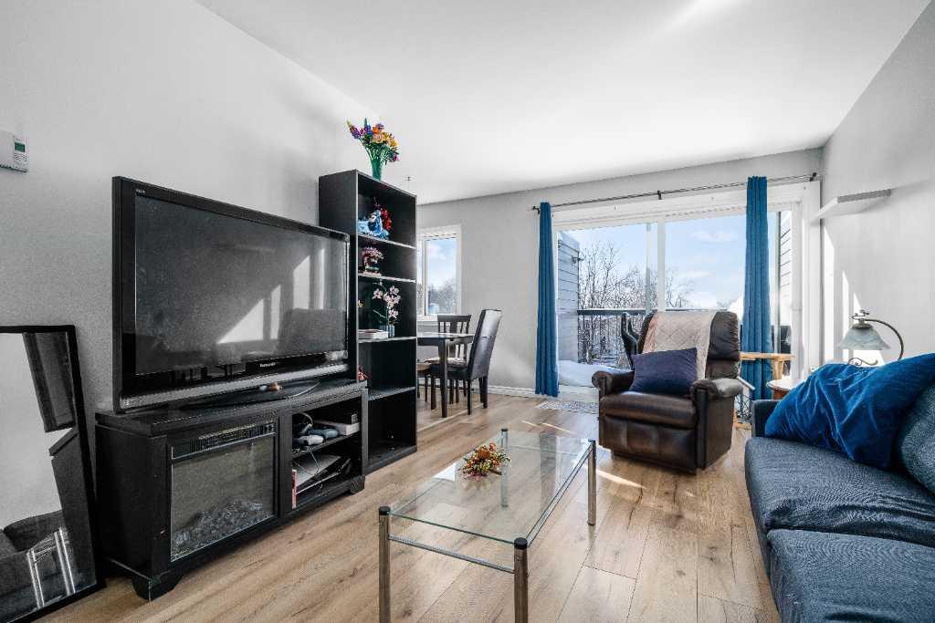 4 1/2 près du Cégep Lévis-Lauzon - Tout inclus + stationnement