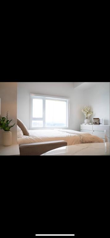 Studio Neufs, Lofts Tout inclus, Lévis, Meublé, Chauffé Éclairé, UQAR, Étudiant, 2 1/2