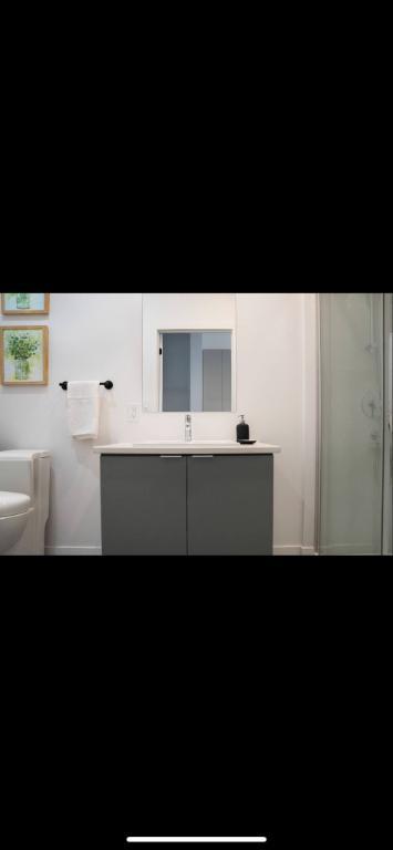Studio Neufs, Lofts Tout inclus, Lévis, Meublé, Chauffé Éclairé, UQAR, Étudiant, 2 1/2