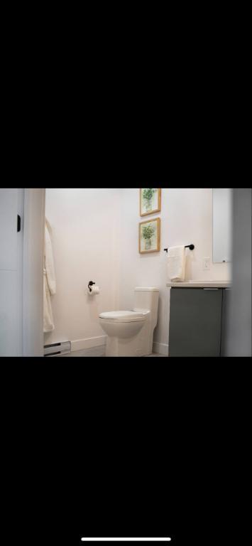 Studio Neufs, Lofts Tout inclus, Lévis, Meublé, Chauffé Éclairé, UQAR, Étudiant, 2 1/2