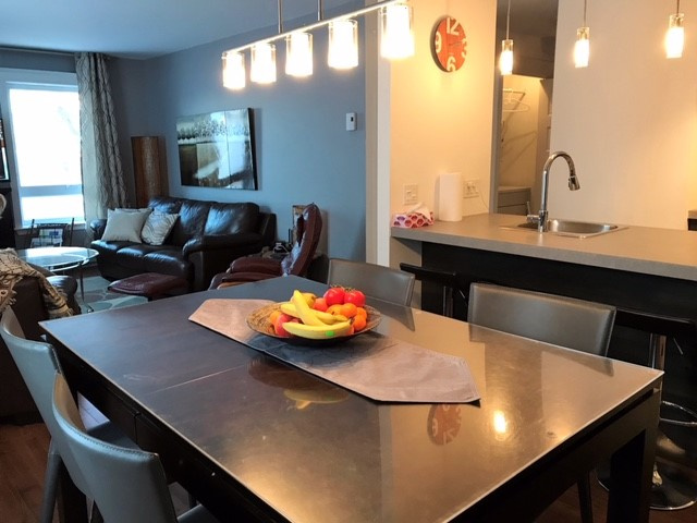 Magnifique Condo Meublé Tout Équipé