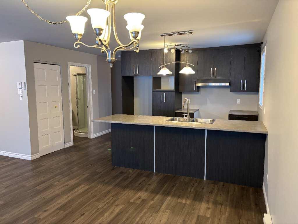 4 1/2 À LOUER (ST-DENIS-DE-BROMPTON)