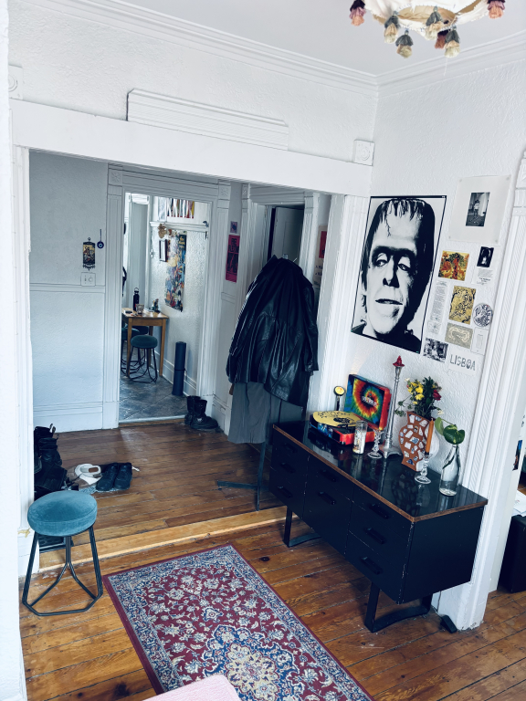 Cozy 5 1/2 Dans Ville-Marie