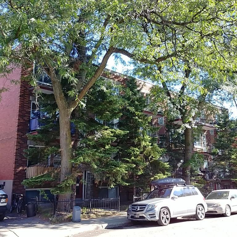 Grand appartement 3 ½ à louer – Rosemont. Spacieux 3 ½ situé au rez-de-chaussée