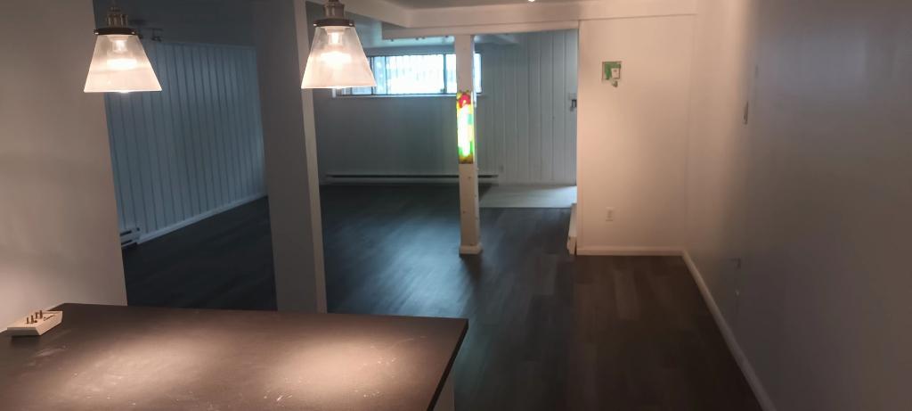 ANJOU GRAND 3 1/2 STYLE LOFT TOUT OUVERT RÉNOVÉ