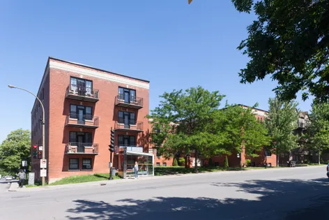 1 room apartment of 53m² in Montreal
