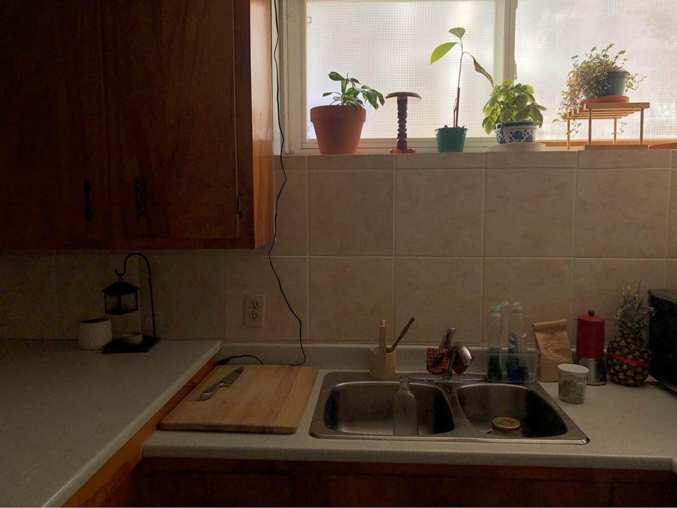 Appartement 2 et demi à louer