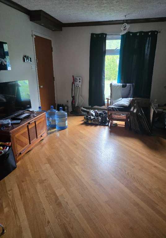 Logement a louer
