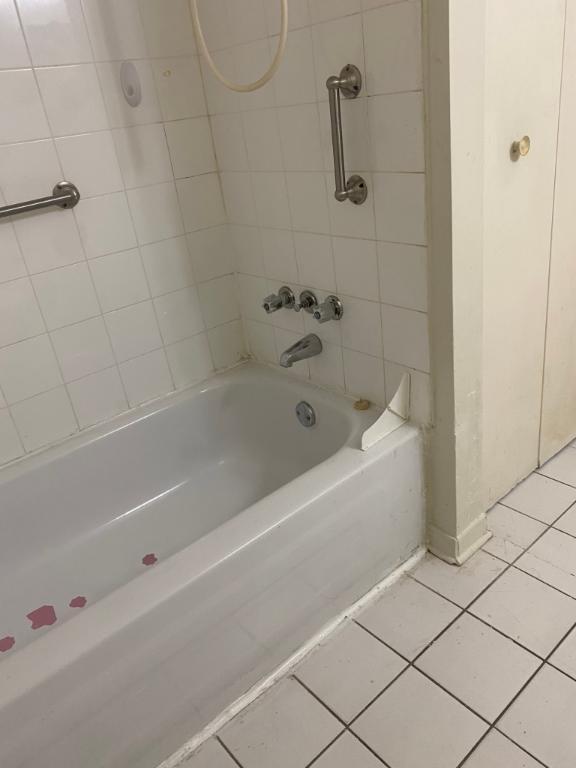 3 1/2 appartement- La Petite Italie