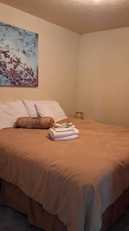 Appartement 4 1/2 St Ferreol les Neiges