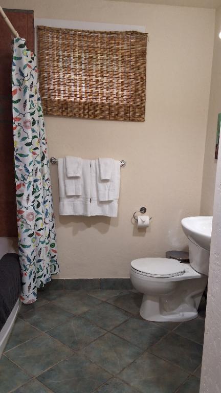 Appartement 4 1/2 St Ferreol les Neiges