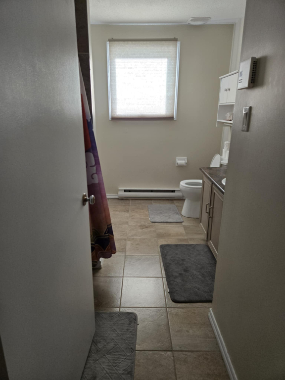 Grand 5 1/2 Recherche Colocataire
