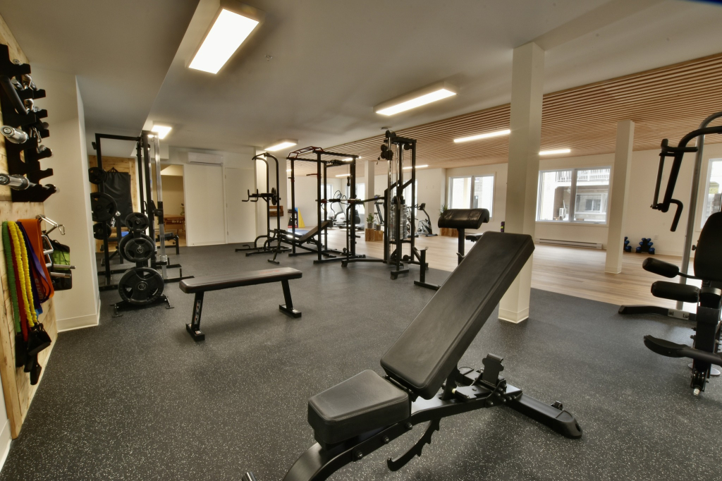 3 ½ à Louer, Gym Inclus!