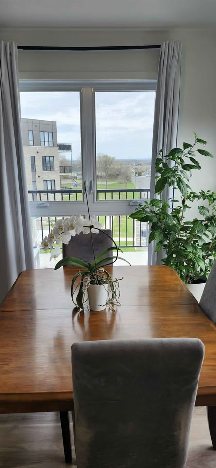 4 1/2 + Bureau, 1er Juillet