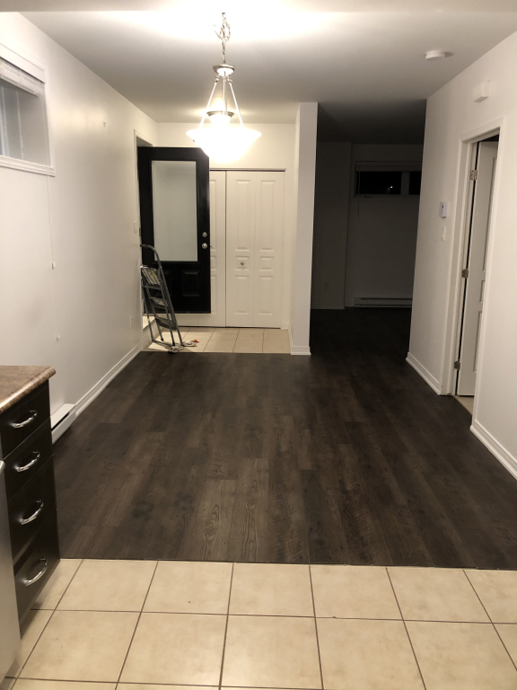 Appartement Fraîchement Rénovée