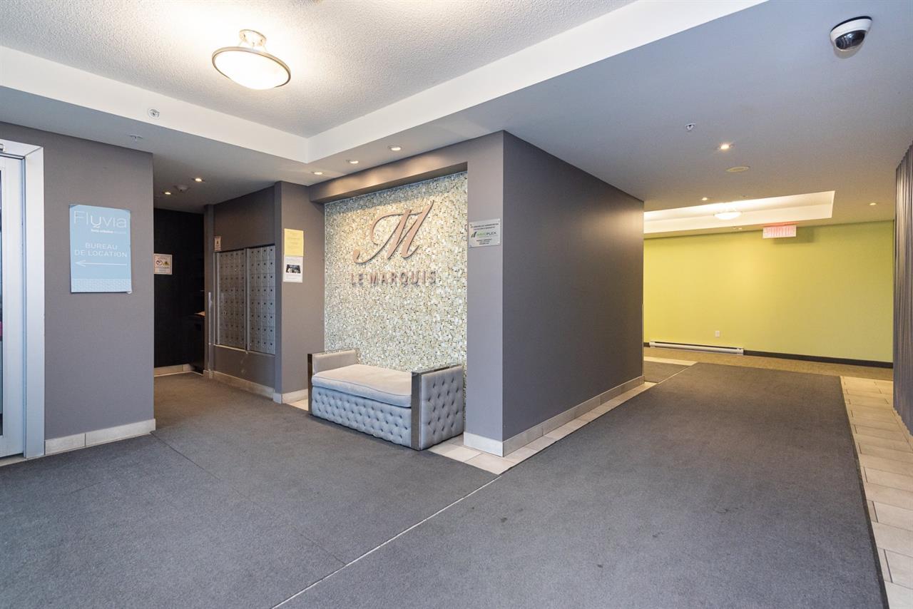 Appartement Brossard À Louer