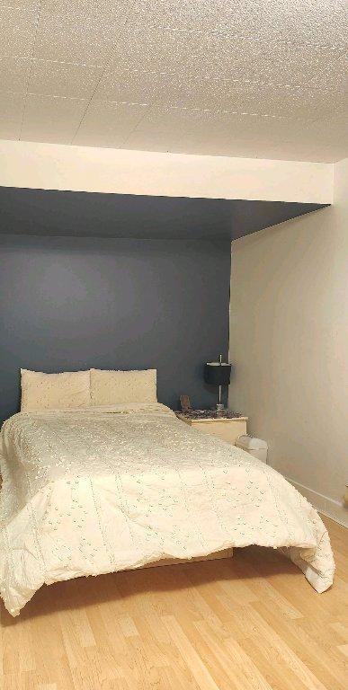 logement disponible en juillet