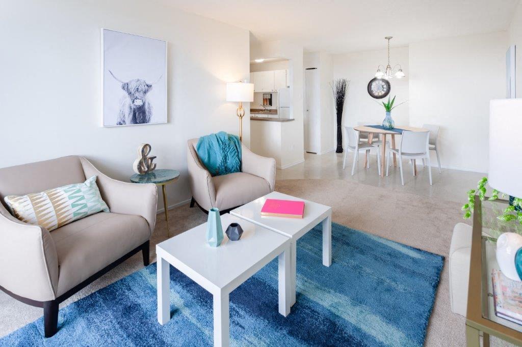 1 Bedroom A - 576 Cite Des Jeunes, Gatineau