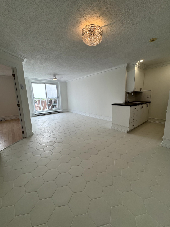 Grand Logement Rénové- 1ch. - Hull