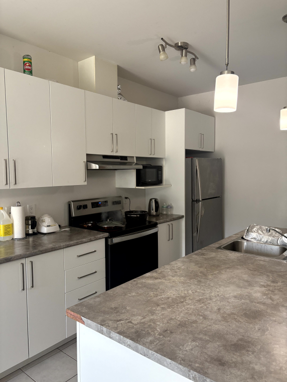 Grand Logement 3 Chambres - Hull