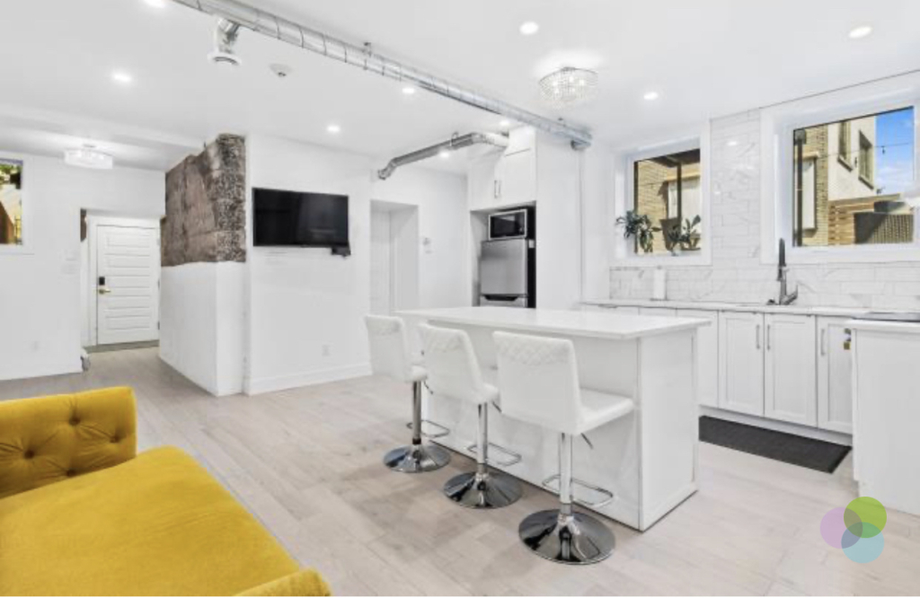 McGill Area - Superb 4 1/2 Furnished