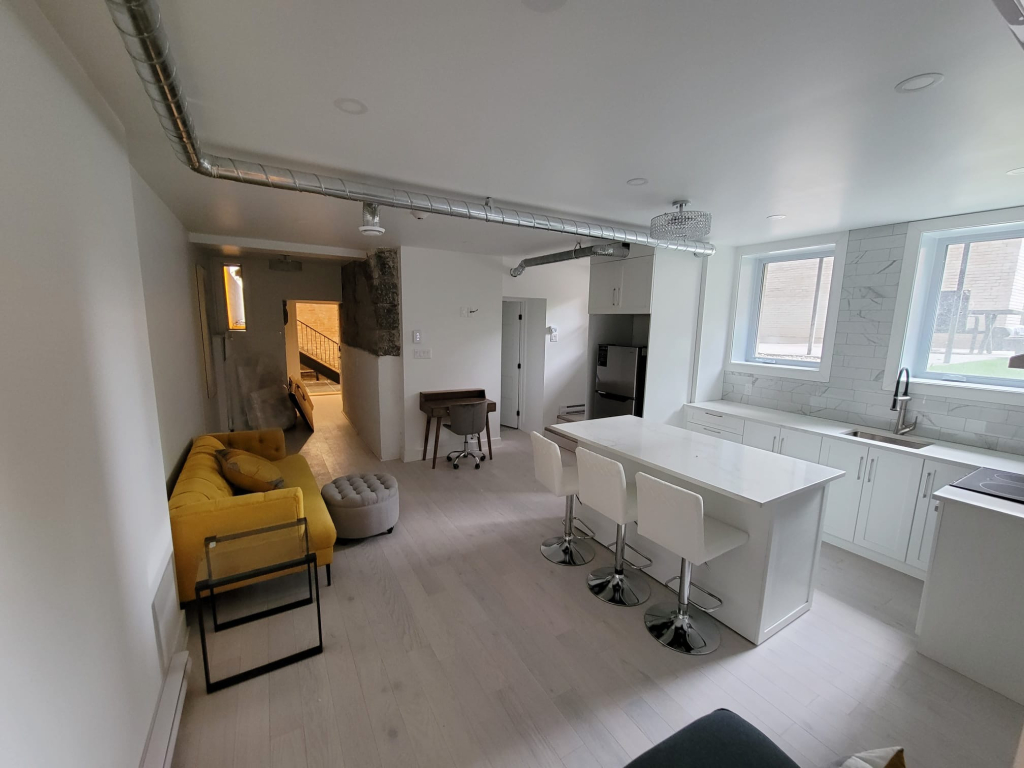 McGill Area - Superb 4 1/2 Furnished