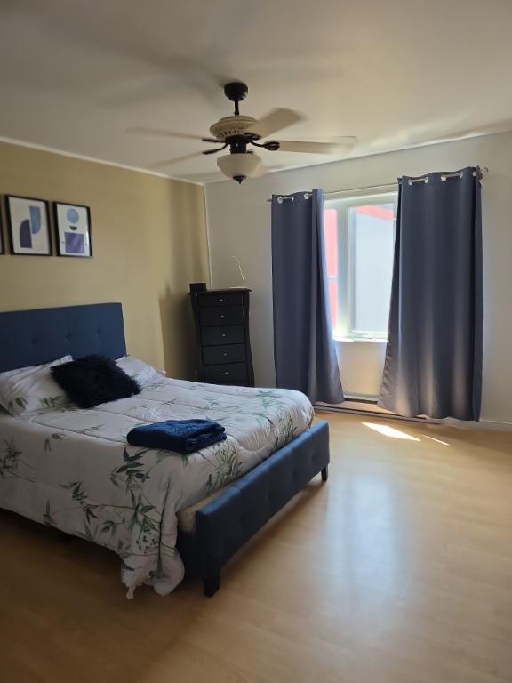 Logements 3 1/2 pour 55 ans et plus Châteauguay - appartement à louer