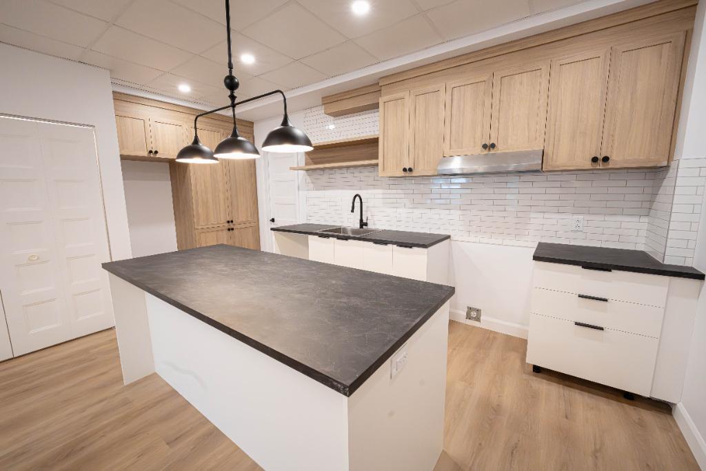 4 1/2 rénové à louer - Centre-ville St-Hyacinthe Condo / appartement / logement