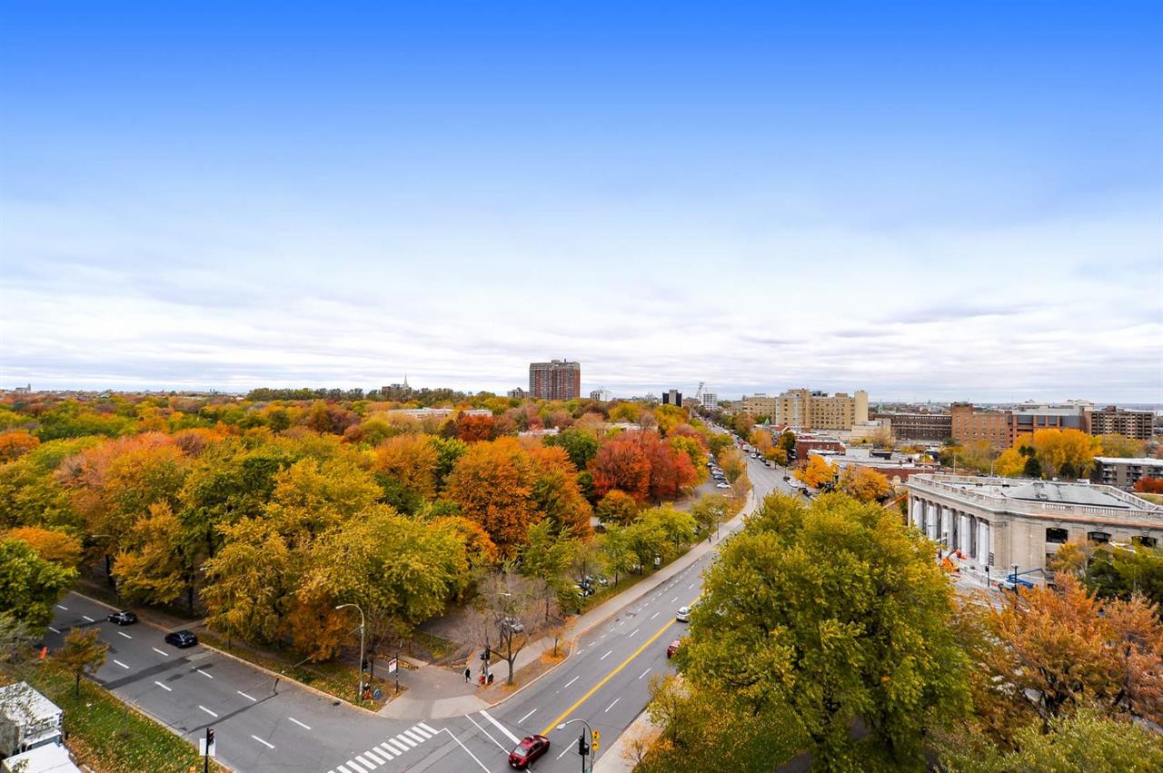 Grand 3.5 Renové Avec Vue! - 1010 Cherrier, Montréal