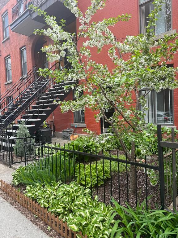4 1/2, St-Henri, Sud-Ouest de Montréal