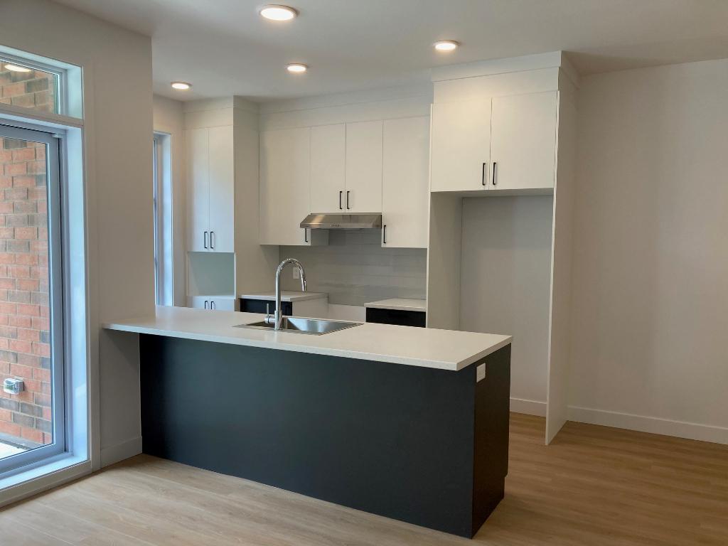 4 1/2 et 5 1/2 à louer pour 1er juillet et 1er août à St-Hyacinthe - Condo / appartment / logement