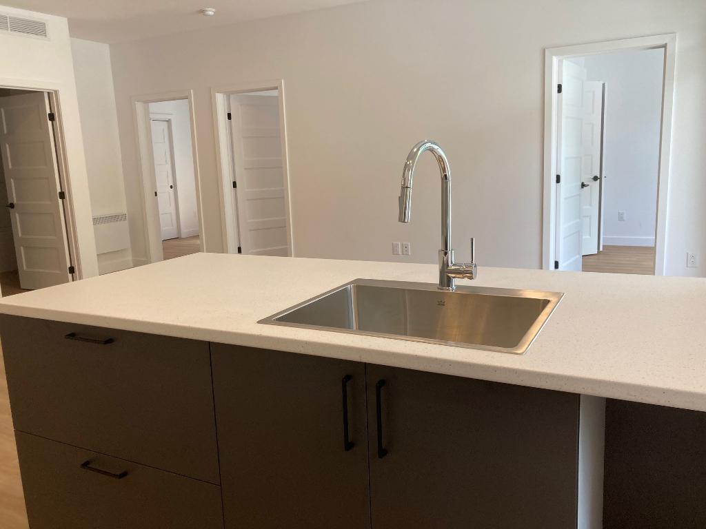 4 1/2 et 5 1/2 à louer pour 1er juillet et 1er août à St-Hyacinthe - Condo / appartment / logement