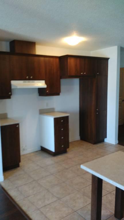 Grand 4-1/2 Style Condo 1200 pieds carré