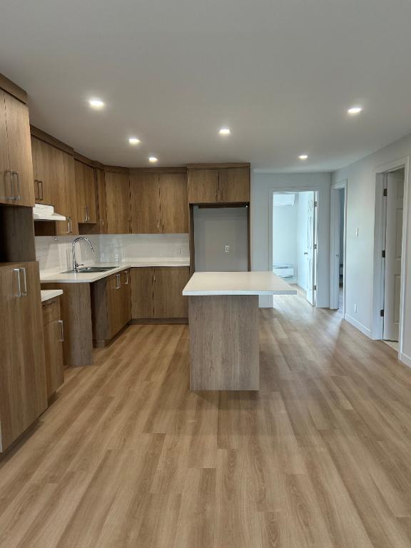 Logement 4-1/2 entièrement rénové