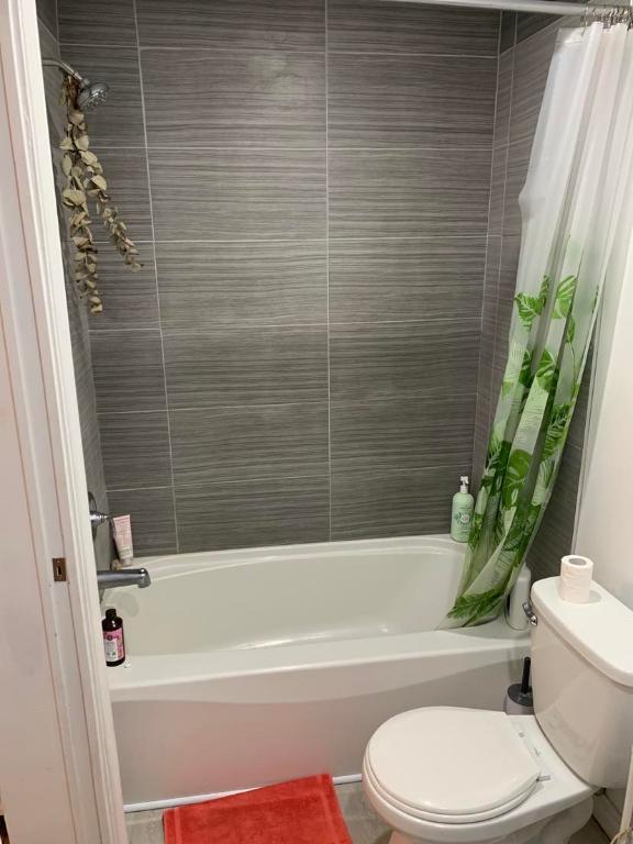 Appartement 4 1/2 Rosemont-La-Petite-Patrie