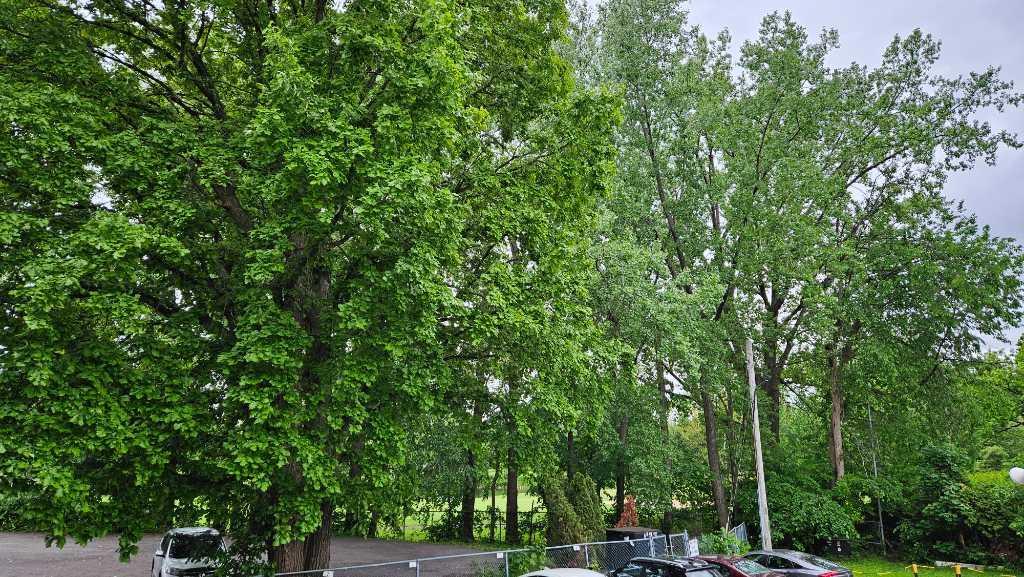 Beauté., Luminosité et tranquillité sur le Golf à Saint-Lambert