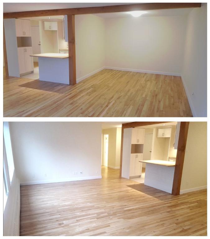Grand 5 ½ Lumineux, Q. Montcalm, secteur prisé