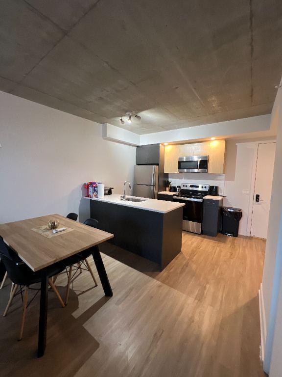 3 1/2 Semi-Meublé Mascouche Disponible Maintenant