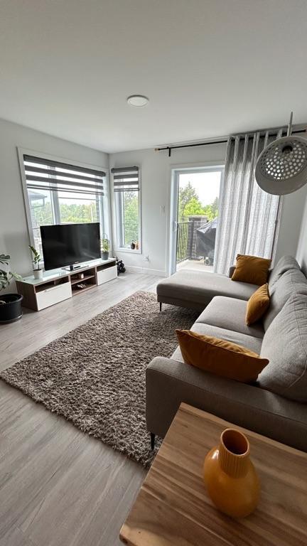 Grand logement 4 1/2 lumineux avec salle à lavage