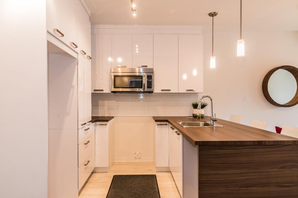 Magnifique condo haut de gamme de 1 chambre situé dans un immeuble sécuritaire et près d'un parc