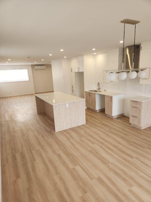 Appartement 1450' carré (St-Hyacinthe)