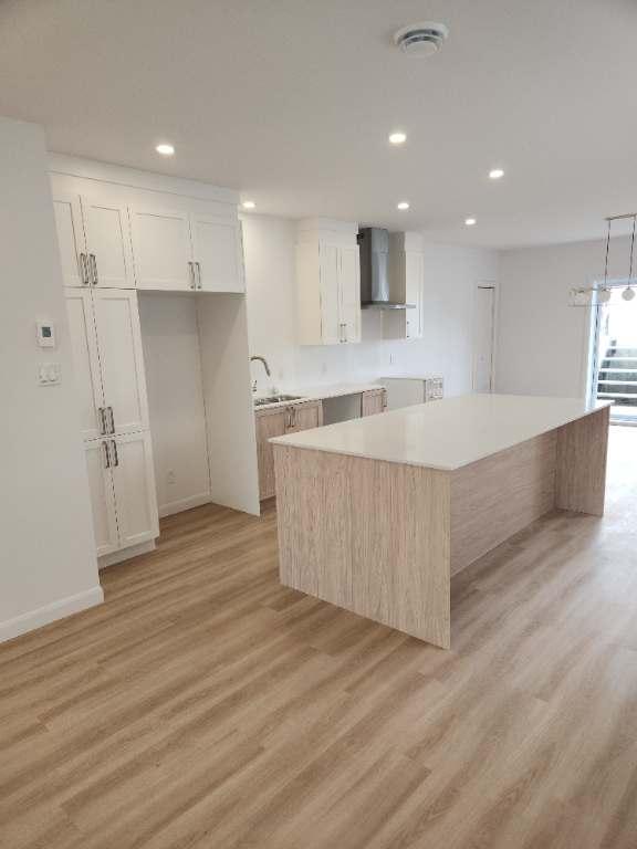 Appartement 1450' carré (St-Hyacinthe)
