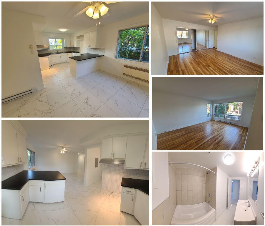 6 1/2 Rooms apartments for rent