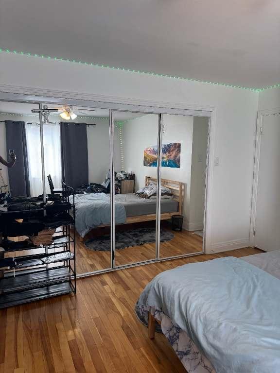 6 1/2 Rooms apartments for rent