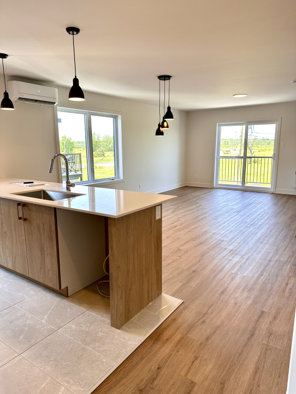 Grand Appartement Lumineux à Louer