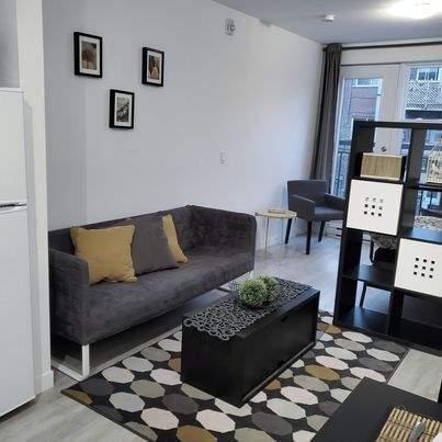 Studio - Montréal - $1,195 /mo