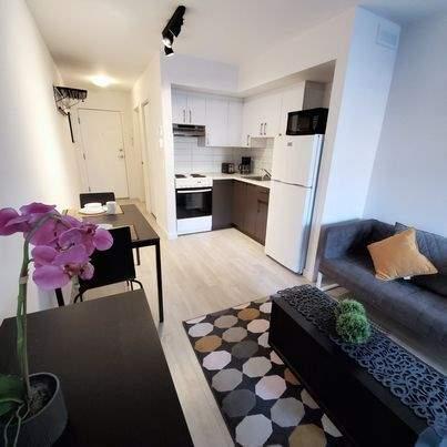 Studio - Montréal - $1,195 /mo