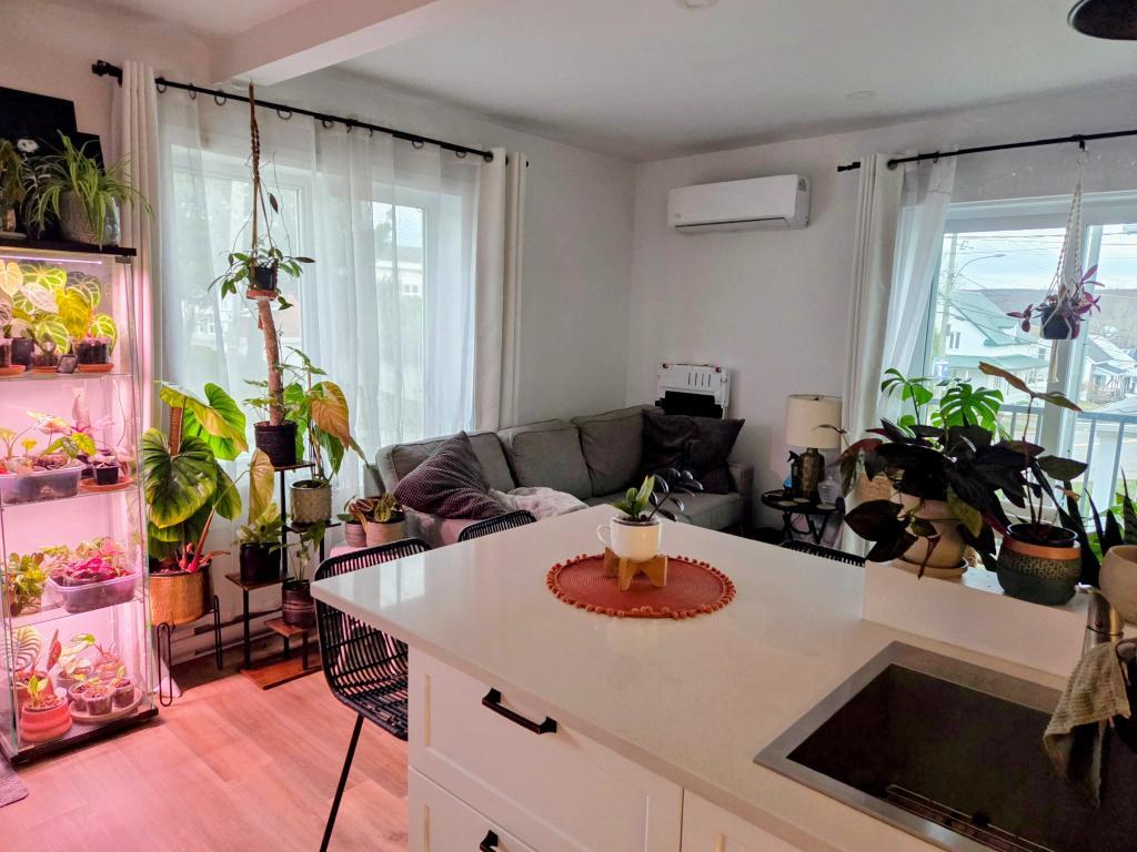 3 1/2, CHESTERVILLE, 825$ par mois. 1 juillet 2025.